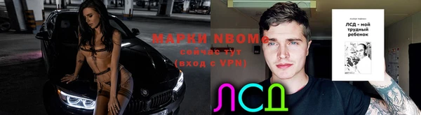 винт Алзамай