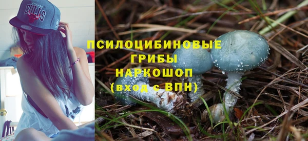 прущие крисы Алексеевка