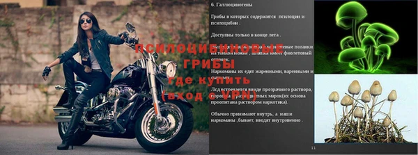 винт Алзамай