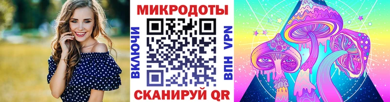 Купить закладки  Гай  Псилоцибиновые грибы Psilocybine cubensis 